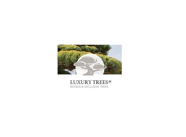luxurytrees-placeholder